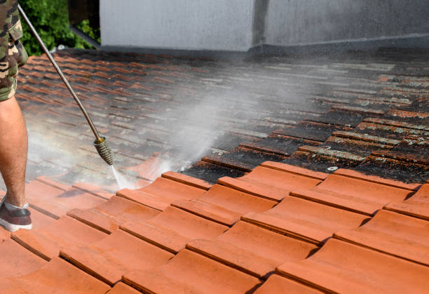 Best Affordable Pressure Washing  in Stevenson, WA