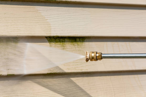 Best Exterior Home Cleaning  in Stevenson, WA